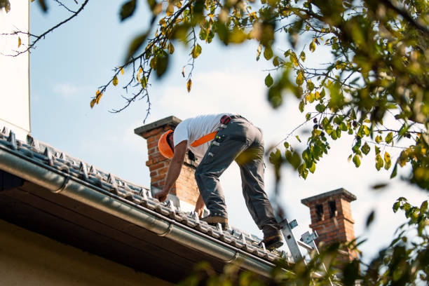 Roof Coating Services in Clovis, NM